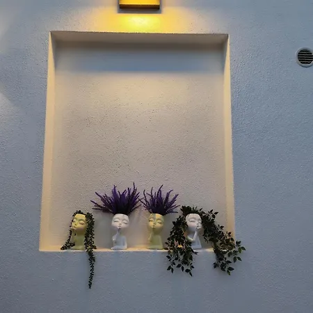 別荘 Alisea ネラノ